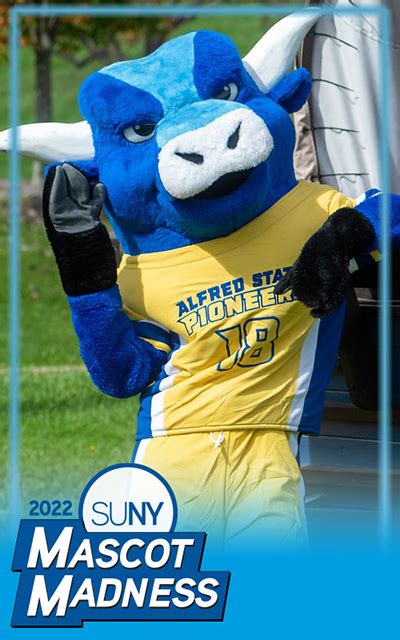 From Mascot to Celebrity: How the Suny Mascot Became an Internet Sensation